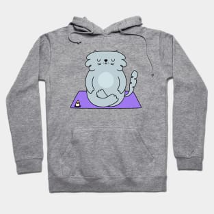 Zen meditation cat Hoodie